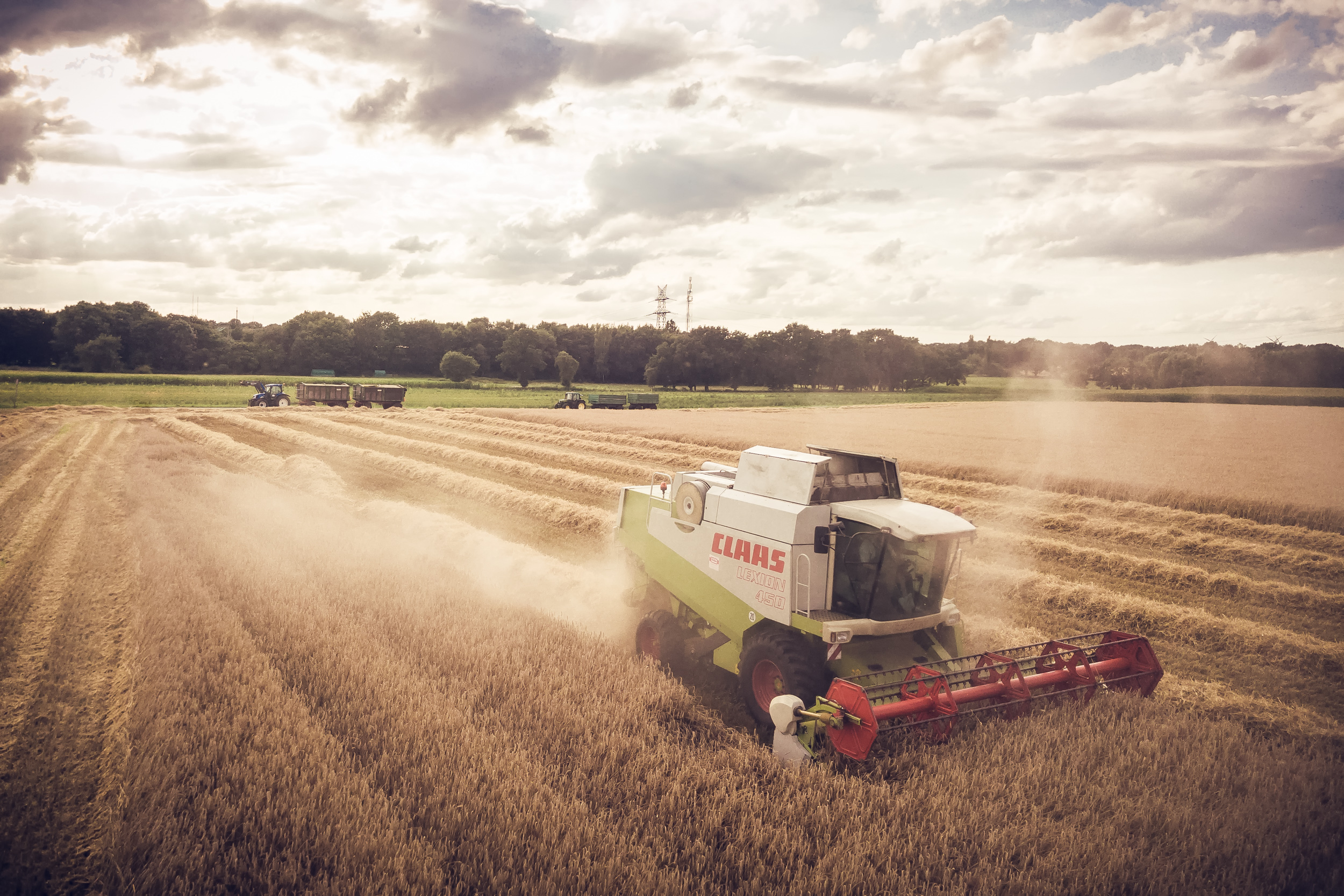 Timomuenzberg startseite 0004